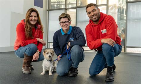 battersea dogs and cats home lottery|A Postcode Lottery for Animal Welfare .